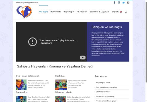 Sahipsiz Hayvanlar – Sahipsiz Hayvanlar