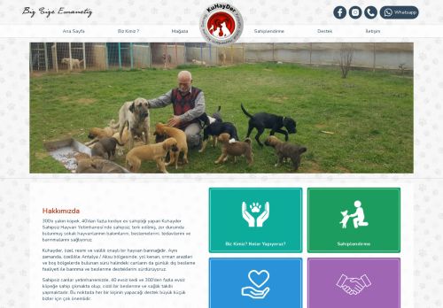 KuHayDer | Sokak Hayvanları Koruma Derneği