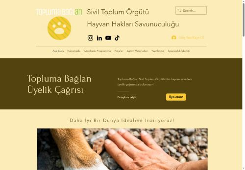 Ana Sayfa | Topluma Bağlan Derneği