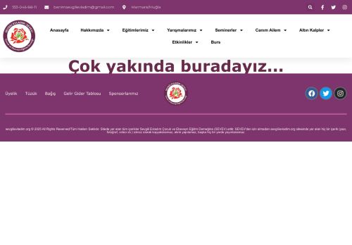 Elementor #493 – sevgilievladim.org