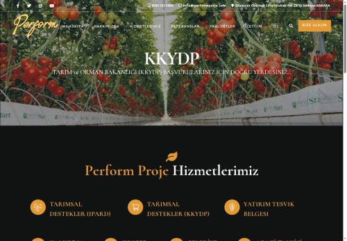 Bizberg Consulting Dark Lite