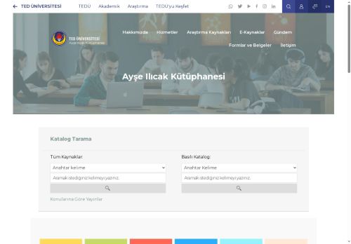 Akademik Araştırma Teşviği | TED Üniversitesi