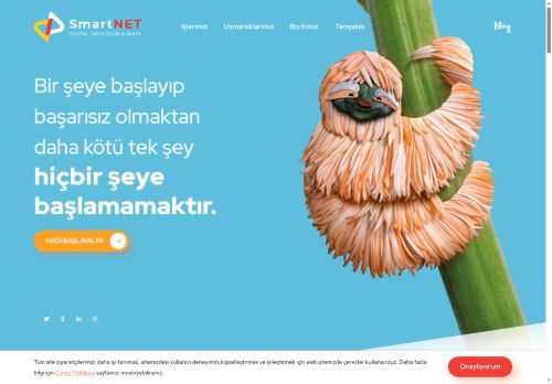 Dijital Dönüşüm Ajansı - SmartNET