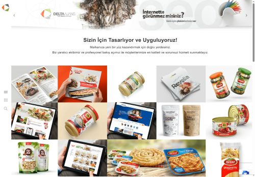 Delta Ajans - Profesyonel Dijital Marka Çözümleri