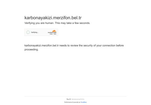 Karbon Ayak İzi - T.C. Merzifon Belediyesi