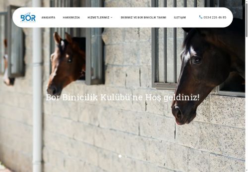 Bor Binicilik