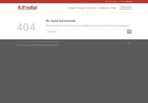 Sayfa bulunamadı | Prodigi