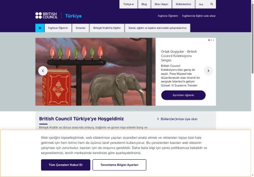 Türkiye'de Sosyal Girişimlerin Durumu | British Council