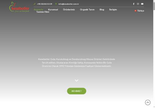 Kesebetler Gıda – Dried & Frozen Fruits