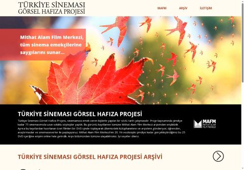 Görsel Hafıza Projesi