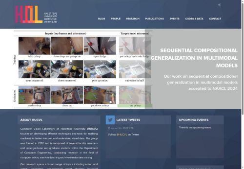 Hacettepe University Computer Vision Laboratory - HUCVL