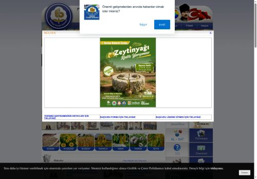 Tarsus Ticaret Borsası > Multimedya > e- Dergi