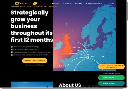 Grow, Transform, Go Global: Strategic Consultancy with Vacoss