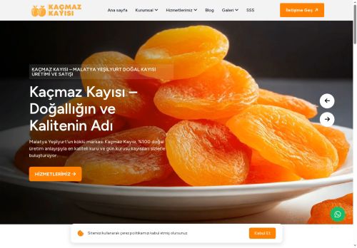 Kaçmaz Kayısı – Malatya Yeşilyurt Doğal Kayısı Üretimi ve Satışı