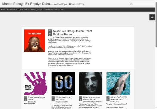 Mantar Panoya Bir Raptiye Daha...