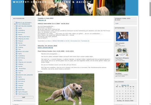 Whippet-Insider ..... Racing & Agility