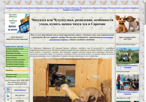 www.chihuahua.abc64.ru