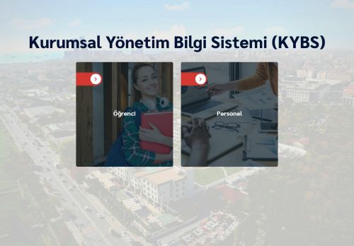 Biruni Üniversitesi