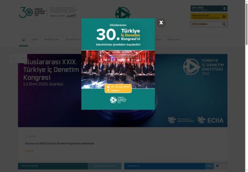 Türkiye İç Denetim Enstitüsü