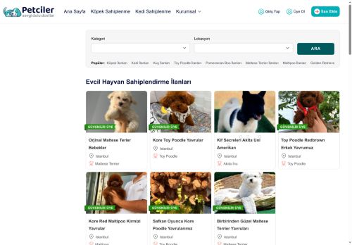 Evcil Hayvan İlanları Köpek ve Kedi Sahiplendirme | Petciler