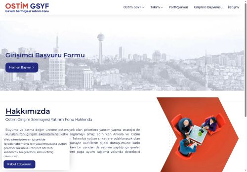 Girişim Sermayesi Yatırım Fonu - Anasayfa