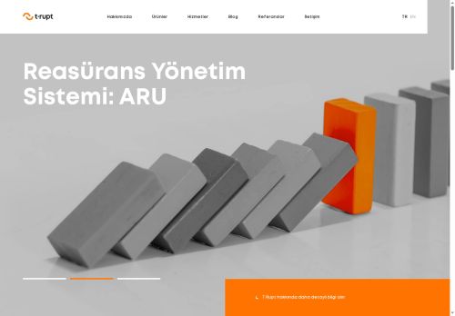 Sigorta ve Reasürans Modelleme Çözümleri - T-Rupt Teknoloji