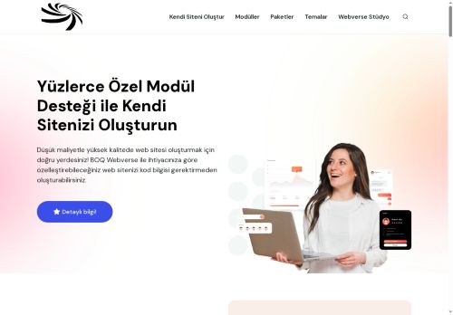 Intelligent Webwerse System - BOQ