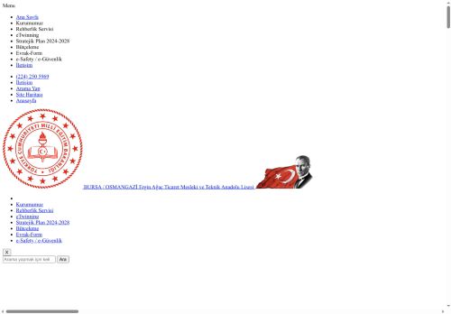 Ergin Ağaç Ticaret Mesleki ve Teknik Anadolu Lisesi - BURSA / OSMANGAZİ