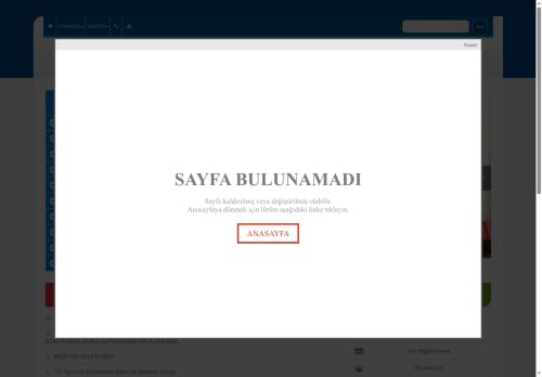 Göltepesi Yeni Yerleşim İlkokulu - BİNGÖL / MERKEZ