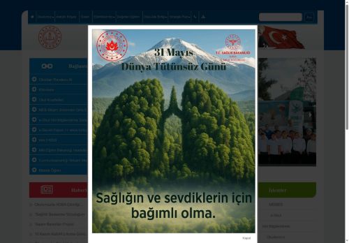 Yenice Perihan Coşkun İlkokulu - BURSA / İNEGÖL