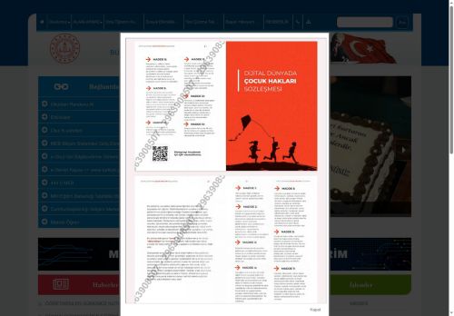 Atatürk Mesleki ve Teknik Anadolu Lisesi - BURSA / NİLÜFER