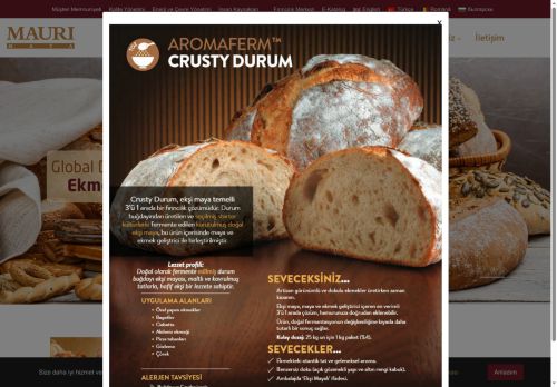 Mauri Maya | Global Deneyim, Lokal Uzmanlık