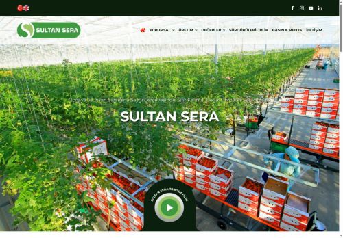 Jeotermal Seracılık - Sultan Sera