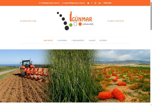 Soğan Tohumu İgünmar Karacabey