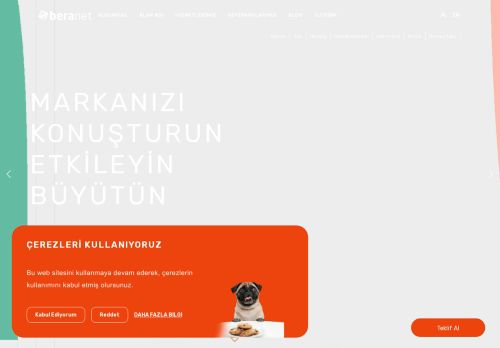 Web Tasarım | Web Sitesi Tasarımı | Web Yazılımı