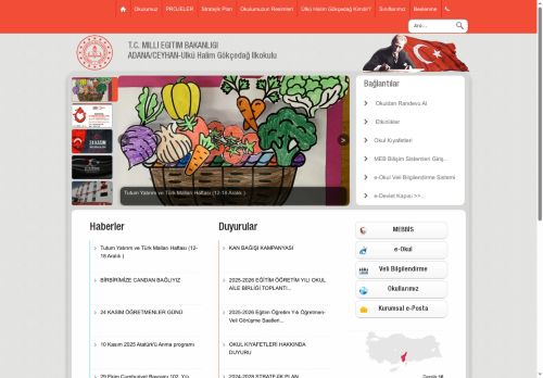 Ülkü Halim Gökçedağ İlkokulu - ADANA / CEYHAN