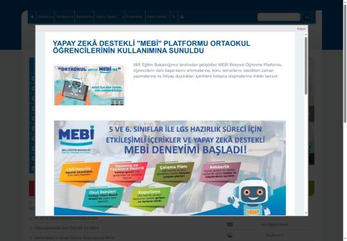 Adayazı Ortaokulu - AFYONKARAHİSAR / EMİRDAĞ