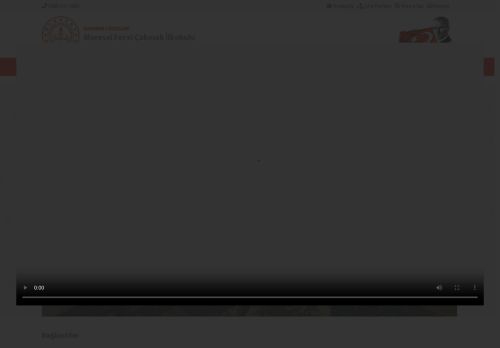 Mareşal Fevzi Çakmak İlkokulu - BATMAN / KOZLUK