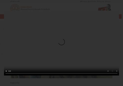 Mareşal Fevzi Çakmak Ortaokulu - BATMAN / KOZLUK