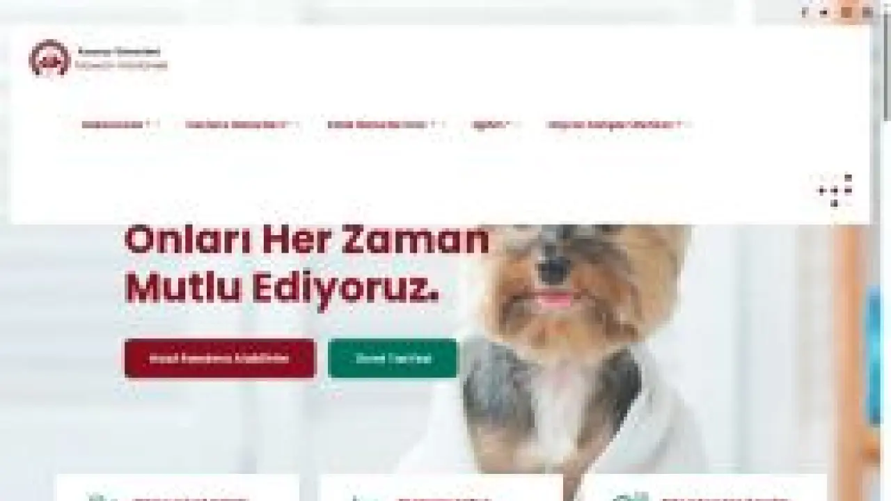 Hayvan Hastanesi