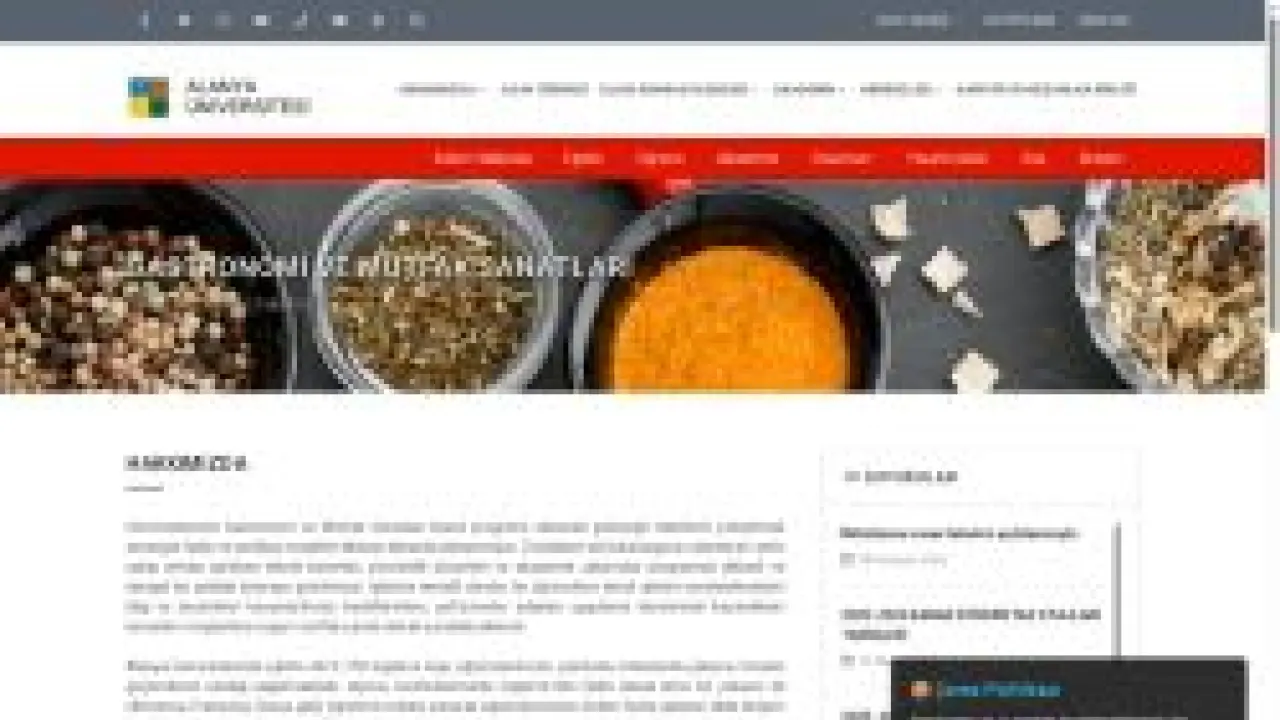 Gastronomi ve Mutfak Sanatları
