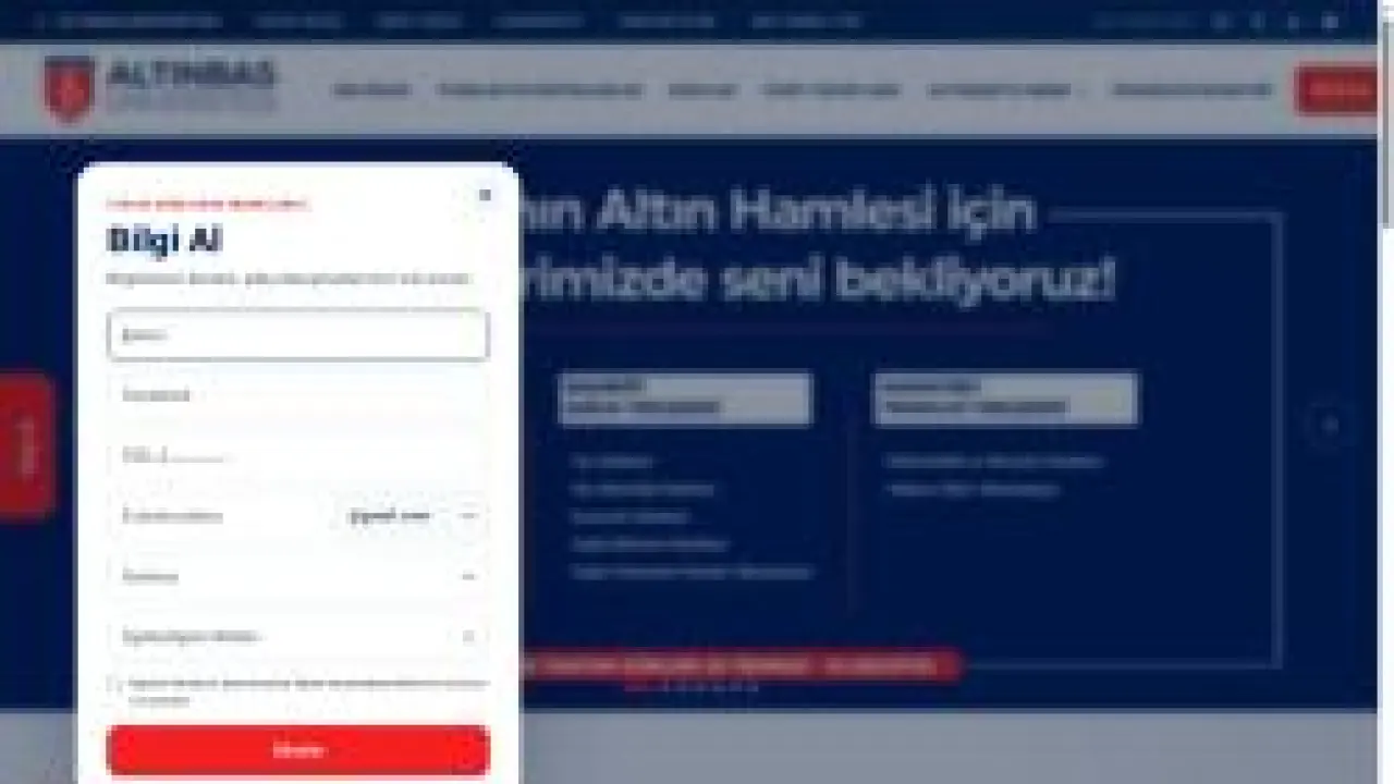 aday.altinbas.edu.tr