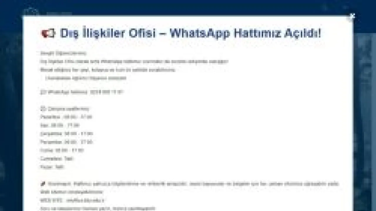 Bursa Teknik Üniversitesi | Dış İlişkiler Ofisi