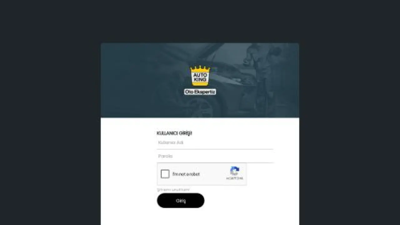 AUTO KING OTO EKSPERTİZ