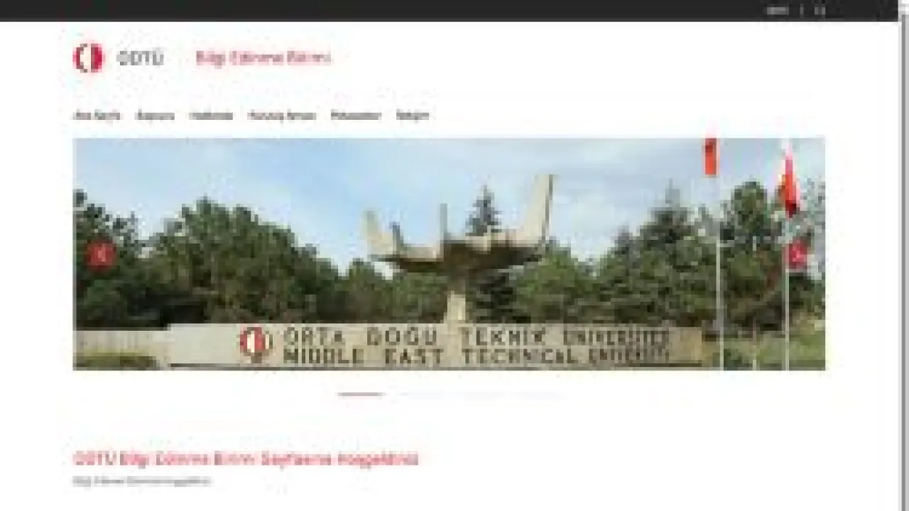 Ana sayfa | Bilgi Edinme Birimi